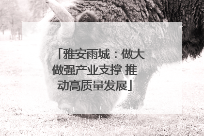 雅安雨城：做大做强产业支撑 推动高质量发展