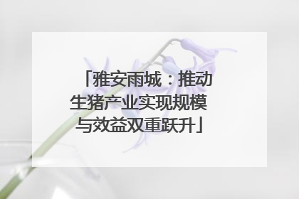 雅安雨城：推动生猪产业实现规模与效益双重跃升