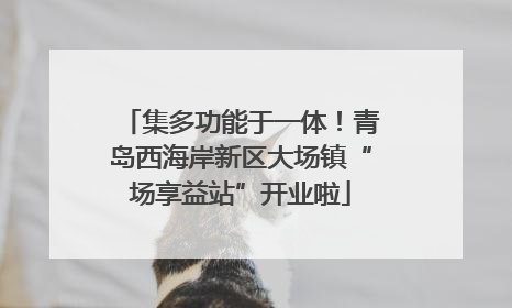 集多功能于一体！青岛西海岸新区大场镇“场享益站”开业啦