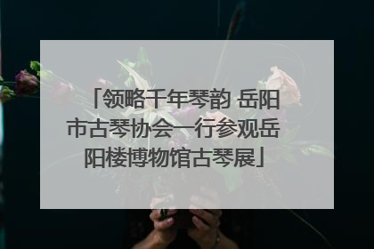 领略千年琴韵 岳阳市古琴协会一行参观岳阳楼博物馆古琴展