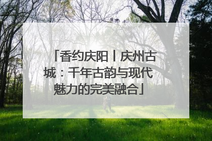 香约庆阳丨庆州古城：千年古韵与现代魅力的完美融合