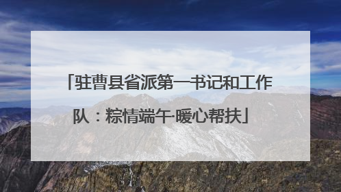 驻曹县省派第一书记和工作队：粽情端午·暖心帮扶