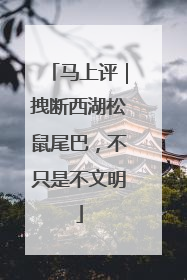 马上评｜拽断西湖松鼠尾巴，不只是不文明