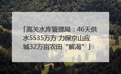 高关水库管理局：46天供水5535万方 力保京山应城32万亩农田“解渴”