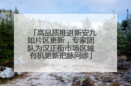 高品质推进新安九如片区更新，专家团队为汉正街市场区域有机更新把脉问诊