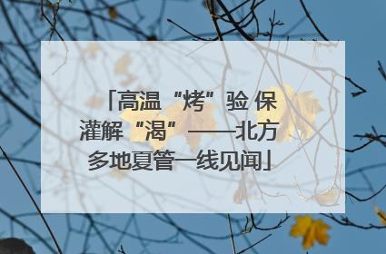 高温“烤”验 保灌解“渴”——北方多地夏管一线见闻