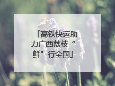 高铁快运助力广西荔枝“鲜”行全国