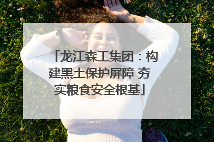 龙江森工集团：构建黑土保护屏障 夯实粮食安全根基