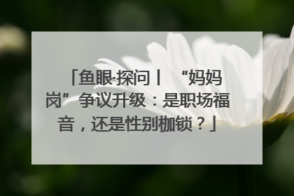 鱼眼·探问丨 “妈妈岗”争议升级：是职场福音，还是性别枷锁？