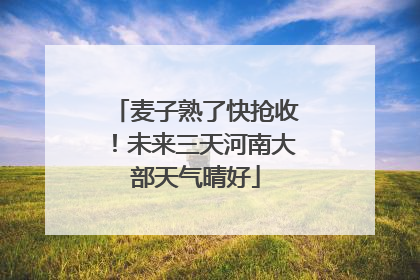 麦子熟了快抢收！未来三天河南大部天气晴好