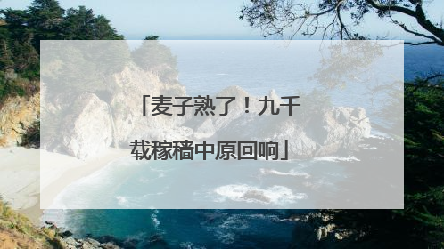 麦子熟了！九千载稼穑中原回响