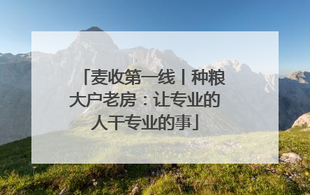 麦收第一线丨种粮大户老房：让专业的人干专业的事