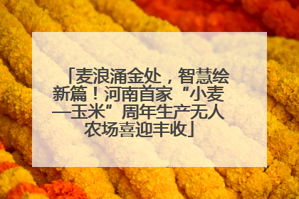 麦浪涌金处，智慧绘新篇！河南首家“小麦—玉米”周年生产无人农场喜迎丰收