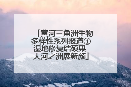 黄河三角洲生物多样性系列报道①湿地修复结硕果 大河之洲展新颜