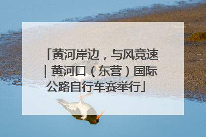 黄河岸边，与风竞速｜黄河口（东营）国际公路自行车赛举行