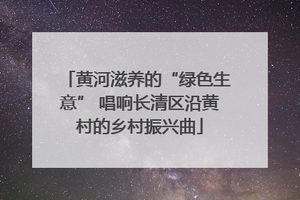 黄河滋养的“绿色生意” 唱响长清区沿黄村的乡村振兴曲