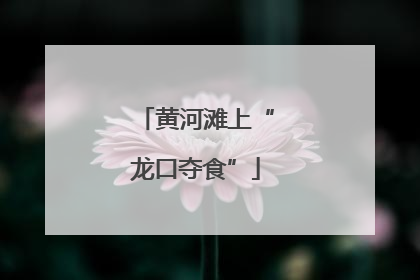 黄河滩上“龙口夺食”