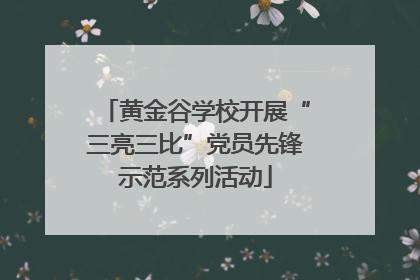 黄金谷学校开展“三亮三比”党员先锋示范系列活动