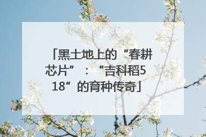 黑土地上的“春耕芯片”：“吉科稻518”的育种传奇