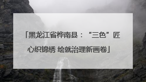 黑龙江省桦南县：“三色”匠心织锦绣 绘就治理新画卷