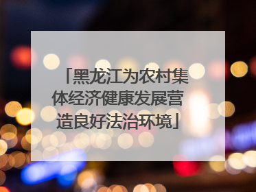 黑龙江为农村集体经济健康发展营造良好法治环境