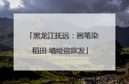 黑龙江抚远：画笔染稻田 墙绘迎旅发