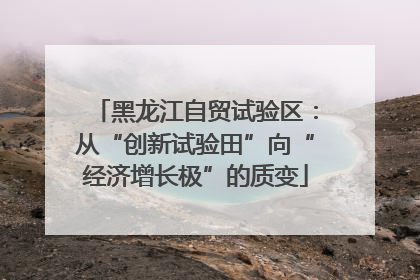 黑龙江自贸试验区：从“创新试验田”向“经济增长极”的质变