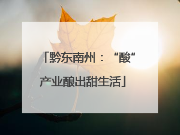 黔东南州：“酸”产业酿出甜生活