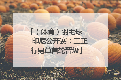 （体育）羽毛球——印尼公开赛：王正行男单首轮晋级