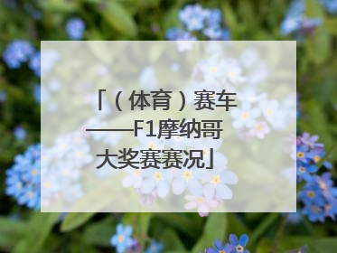 （体育）赛车——F1摩纳哥大奖赛赛况