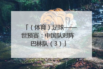（体育）足球——世预赛：中国队对阵巴林队（3）