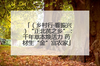 （乡村行·看振兴）“正北芪之乡”：千年草本焕活力 药材生“金”富农家