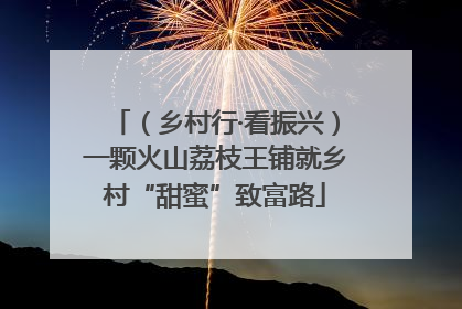 （乡村行·看振兴）一颗火山荔枝王铺就乡村“甜蜜”致富路
