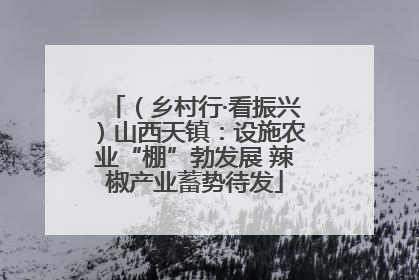 （乡村行·看振兴）山西天镇：设施农业“棚”勃发展 辣椒产业蓄势待发