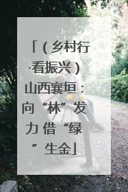 （乡村行·看振兴）山西襄垣：向“林”发力 借“绿”生金