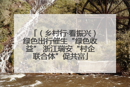 （乡村行·看振兴）绿色出行催生“绿色收益” 浙江瑞安“村企联合体”促共富
