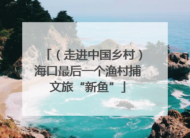 （走进中国乡村）海口最后一个渔村捕文旅“新鱼”
