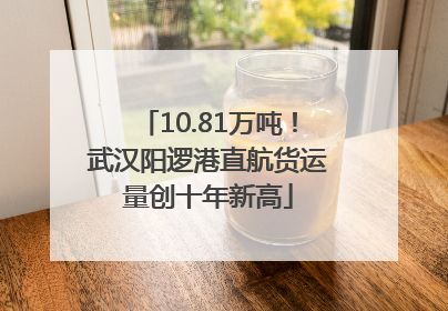 10.81万吨！武汉阳逻港直航货运量创十年新高