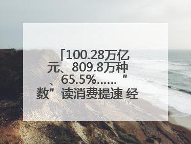 100.28万亿元、809.8万种、65.5%……“数”读消费提速 经济潜力释放
