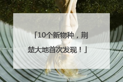 10个新物种，荆楚大地首次发现！