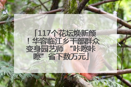 117个花坛焕新颜！华容临江乡干部群众变身园艺师 “咔嚓咔嚓”省下数万元