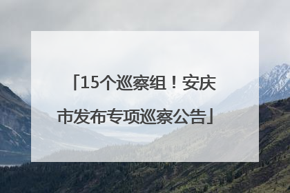 15个巡察组！安庆市发布专项巡察公告