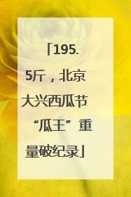 195.5斤，北京大兴西瓜节“瓜王”重量破纪录