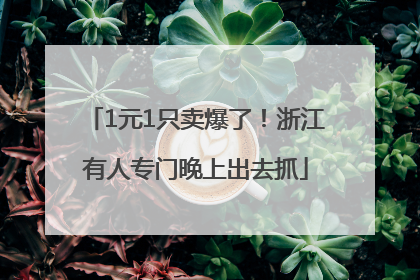 1元1只卖爆了！浙江有人专门晚上出去抓