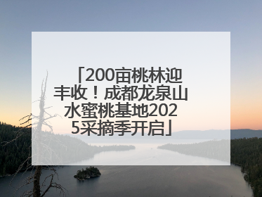 200亩桃林迎丰收！成都龙泉山水蜜桃基地2025采摘季开启