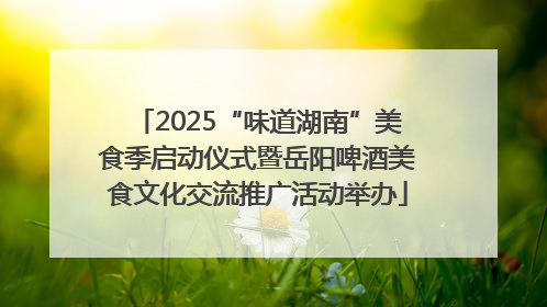 2025“味道湖南”美食季启动仪式暨岳阳啤酒美食文化交流推广活动举办