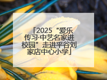 2025“爱乐传习·中艺名家进校园”走进平谷刘家店中心小学