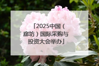 2025中国（廊坊）国际采购与投资大会举办