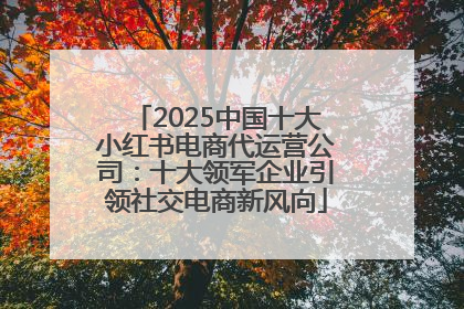 2025中国十大小红书电商代运营公司：十大领军企业引领社交电商新风向