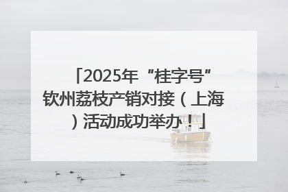 2025年“桂字号”钦州荔枝产销对接（上海）活动成功举办！